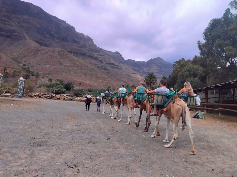 Camellos transportando jinetes por un camino rocoso de montaña bajo un cielo nublado.