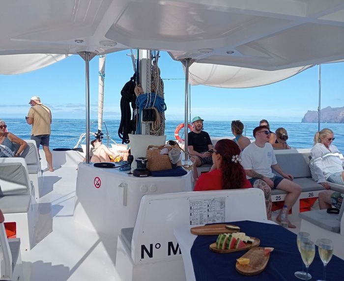 Los pasajeros se sientan bajo un toldo blanco en un barco con el mar azul y la costa rocosa de fondo.