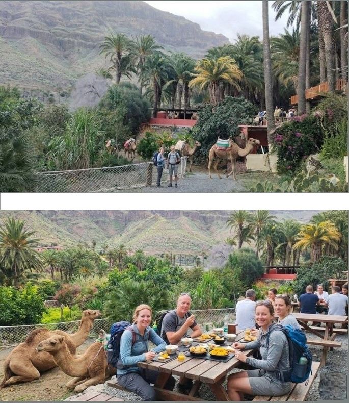 Turistas cenando al aire libre junto a camellos en un restaurante ubicado en un exuberante valle de montaña.