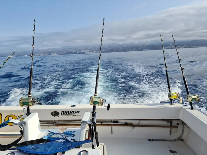 Cañas de pescar montadas en la cubierta de un barco frente a un mar abierto y tranquilo bajo cielos nublados.