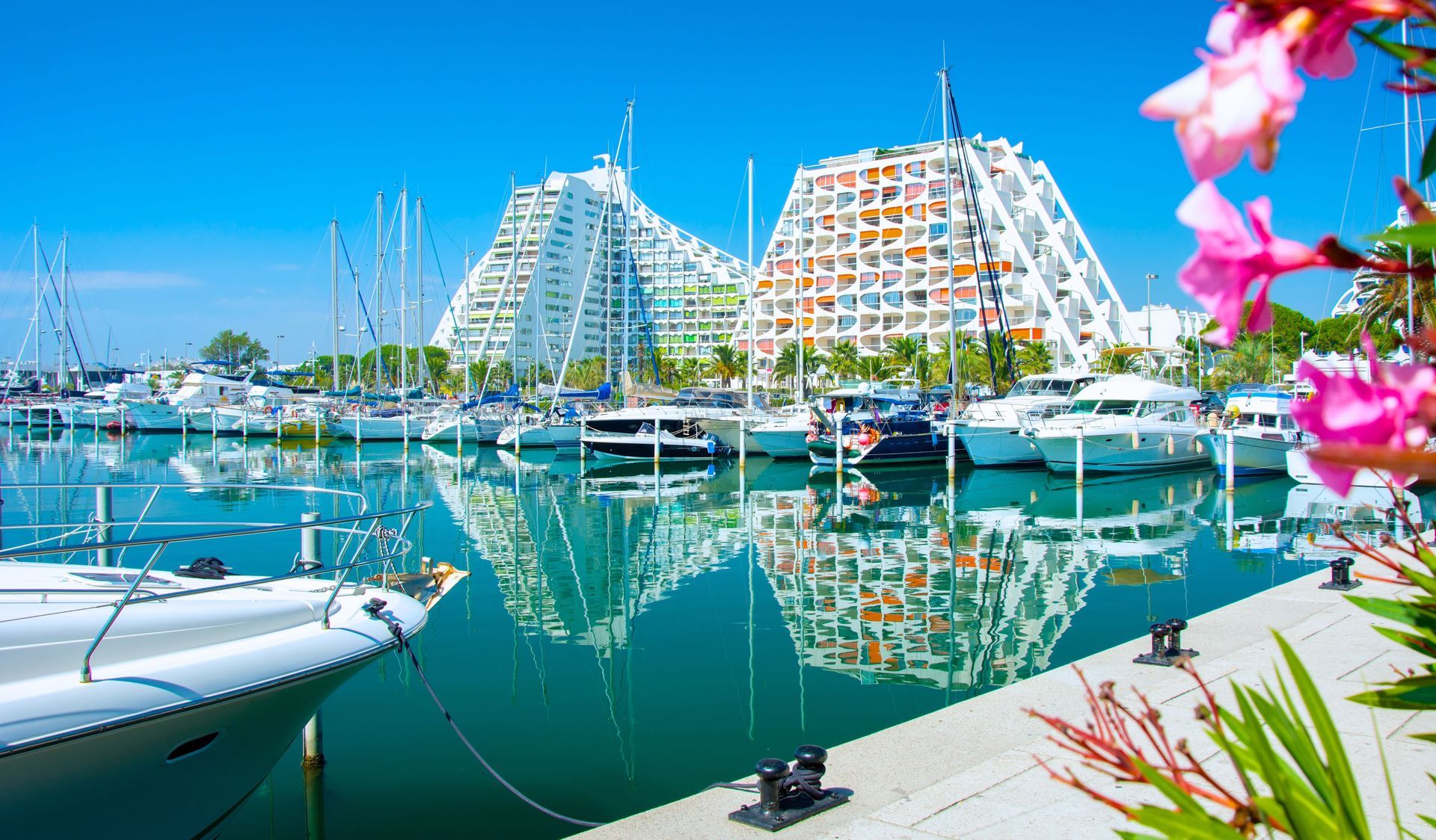 Marina avec voiliers et bâtiments modernes en bord de mer se reflétant dans une eau calme, fleurs roses au premier plan.