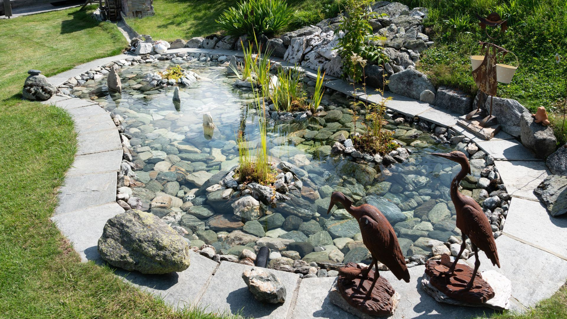 Photo d'un bassin dans un jardin