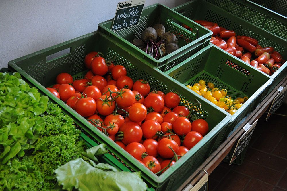 Eine Ausstellung von Gemüse, darunter Tomaten und Salat