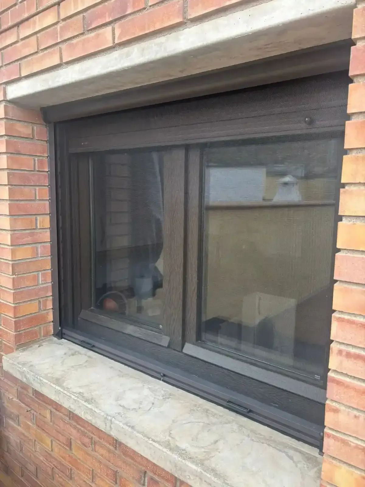 Cucarachas arrastrándose sobre migas y baldosas en el piso cerca de una pared.