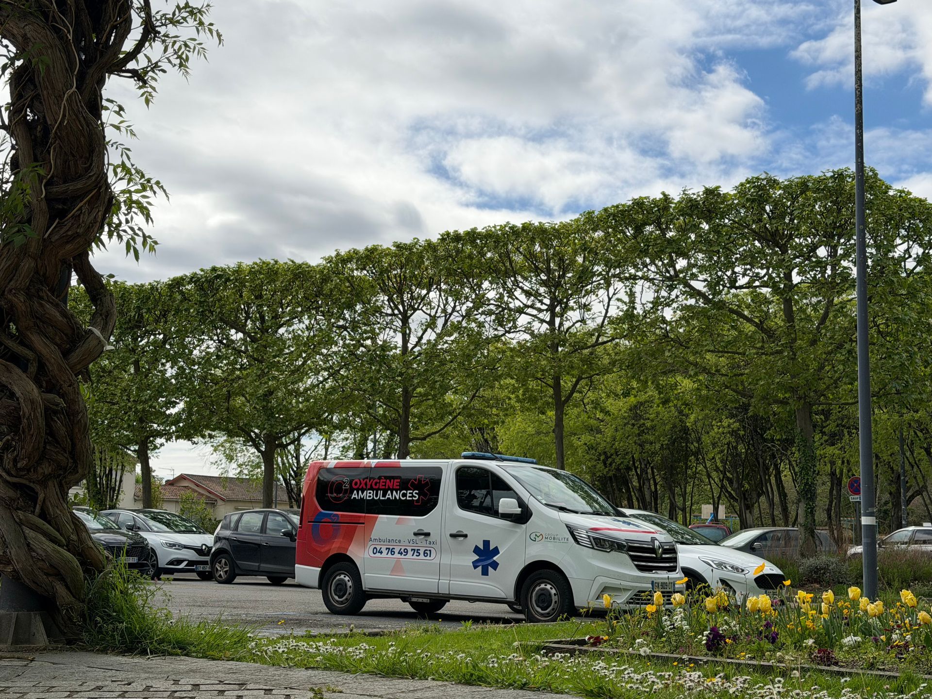 Une camionnette blanche garée près de fleurs jaunes et d'arbres taillés sur le parking d'un parc nuageux