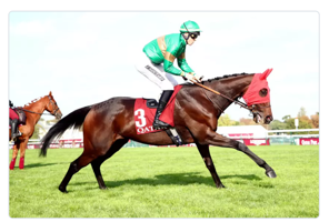 Course hippique avec un cavalier habillé en vert