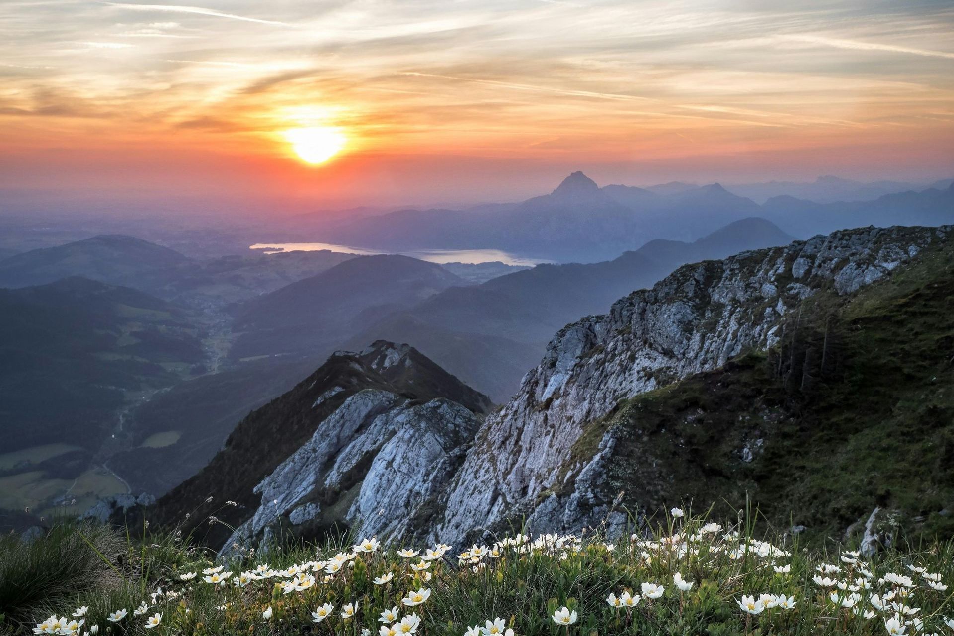 Die Sonne geht über einer Bergkette unter, im Vordergrund sind Blumen zu sehen.