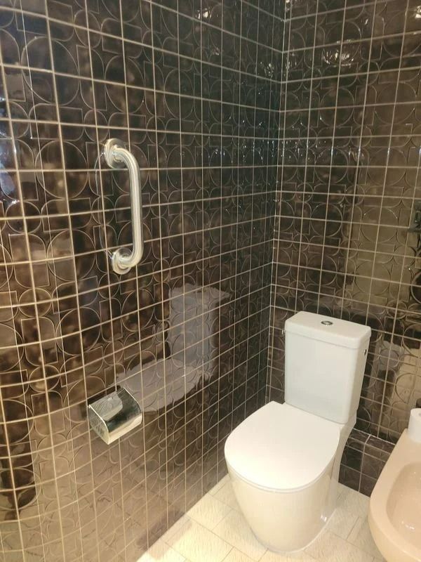 Salle de bains avec carrelage à motifs brun foncé, toilettes et barre d'appui.