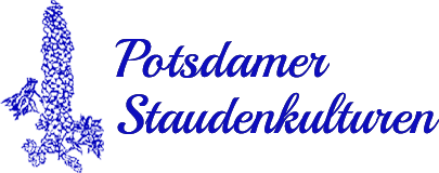 Blumenladen Potsdamer Staudenkulturen