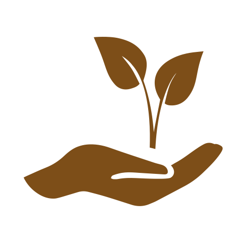 Eine Hand hält eine kleine Pflanze, aus der Blätter wachsen.