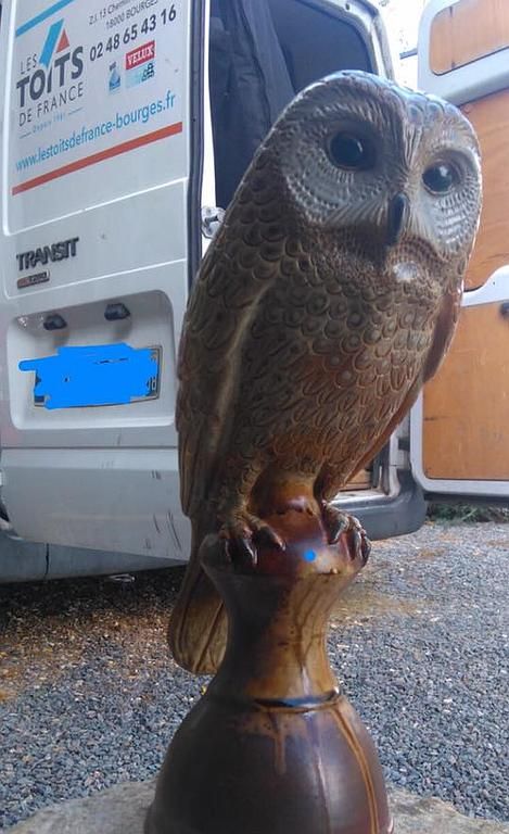 Notre mascotte : la chouette