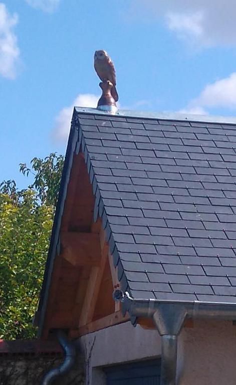 Notre chouette après la pose