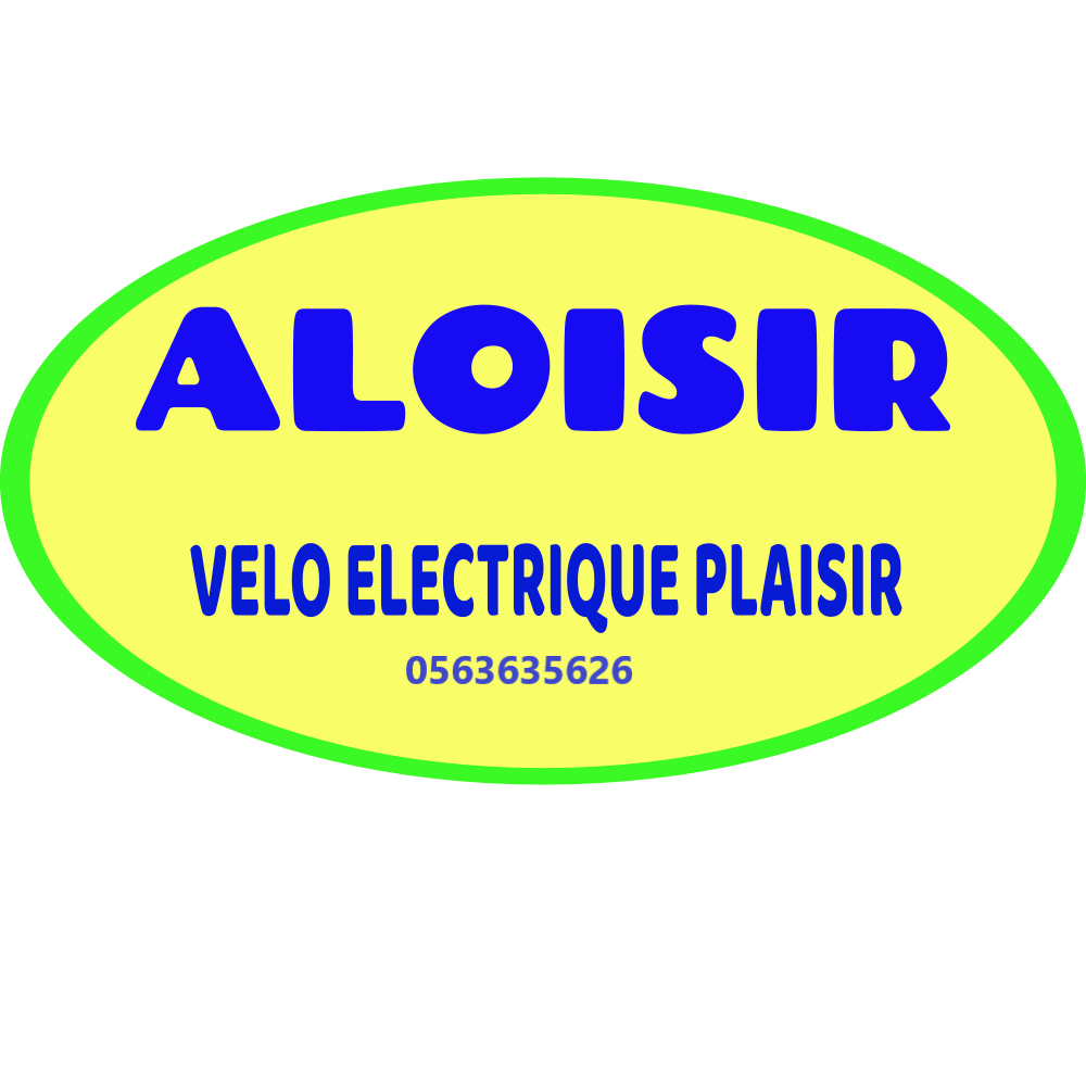 Logo de l'enseigne Aloisir