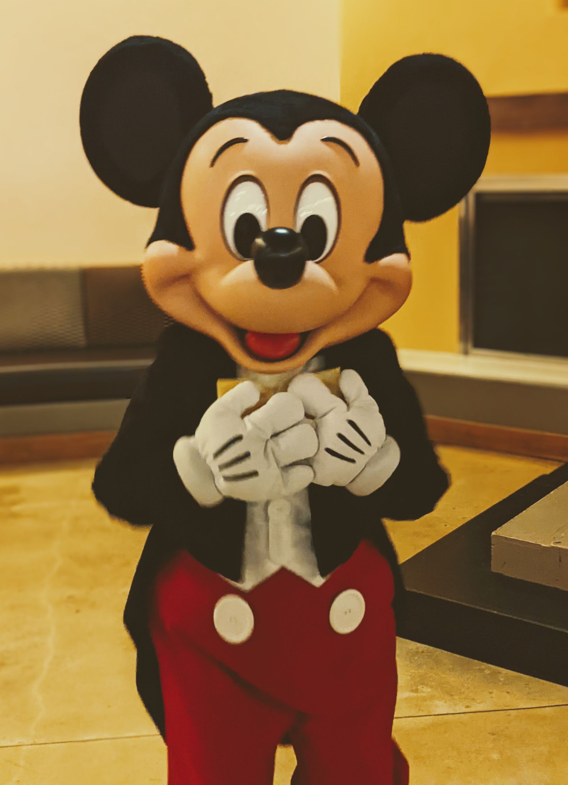 Mickey Mouse