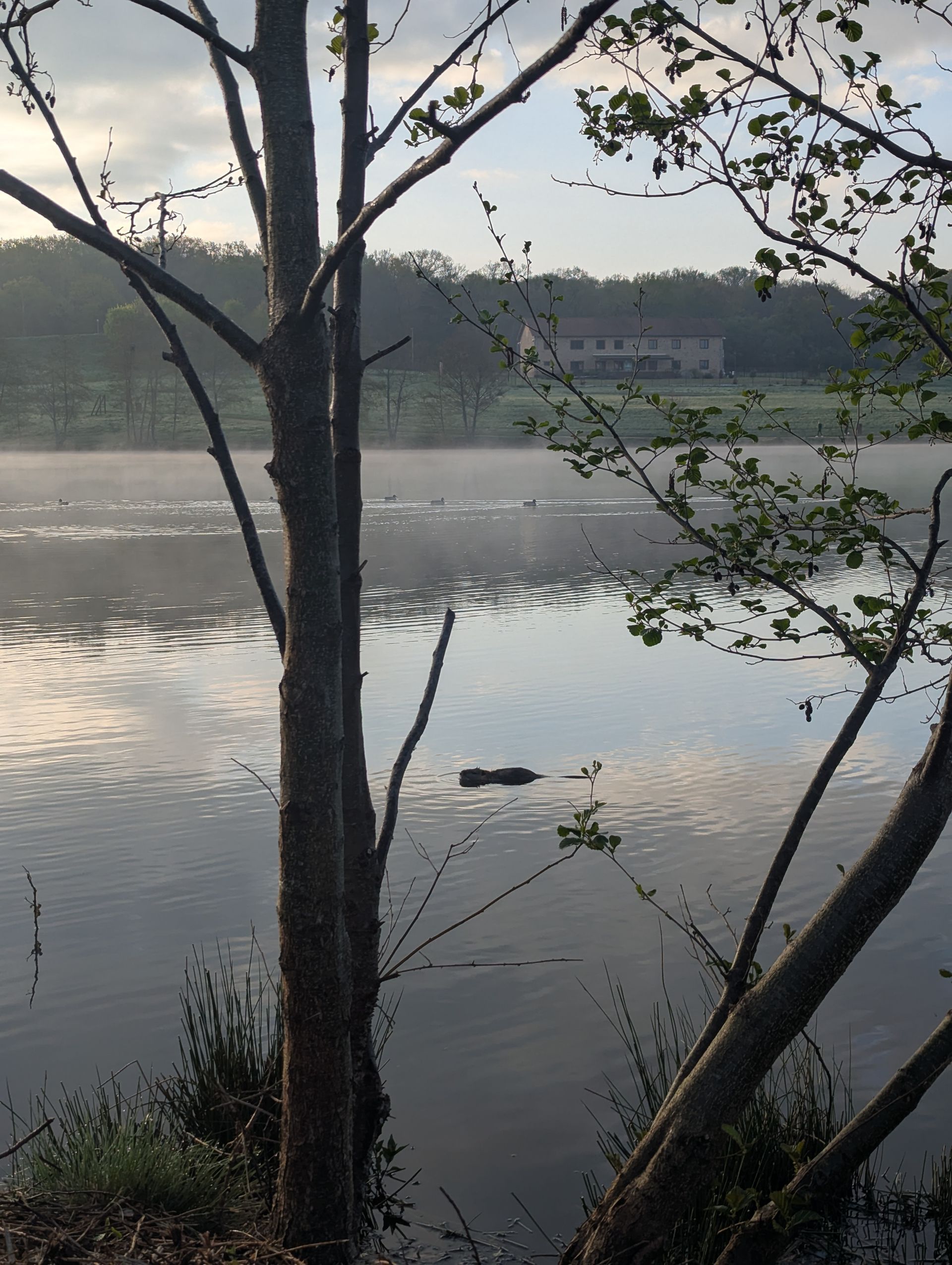 Lac d'Uzurat Limoges