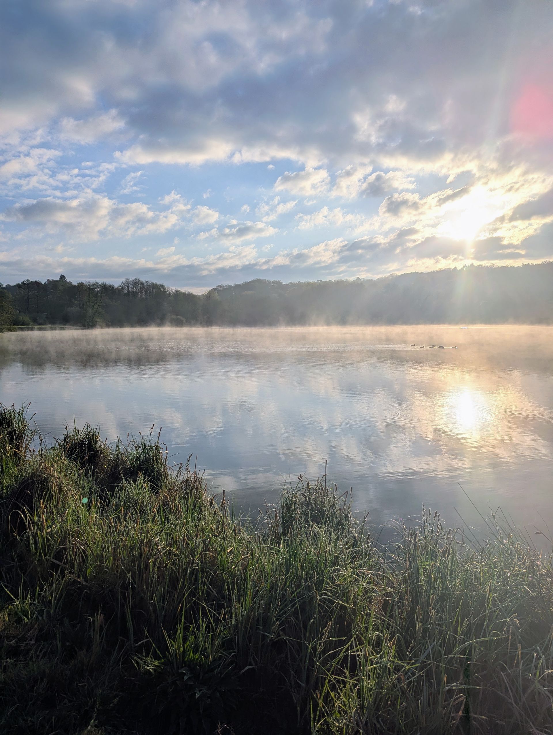 Lac d'Uzurat Limoges