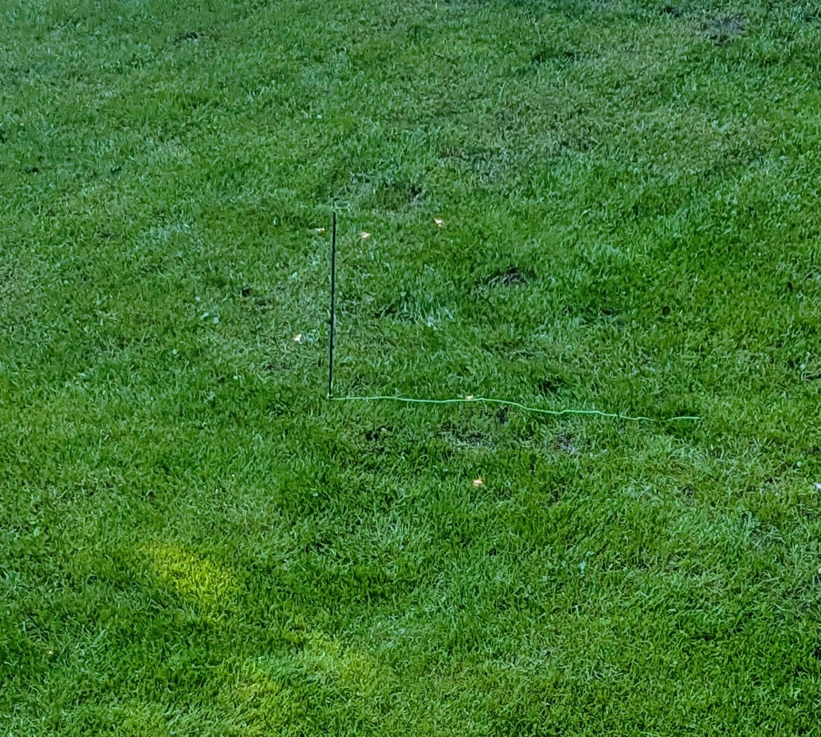 Rasen mit einem Band.