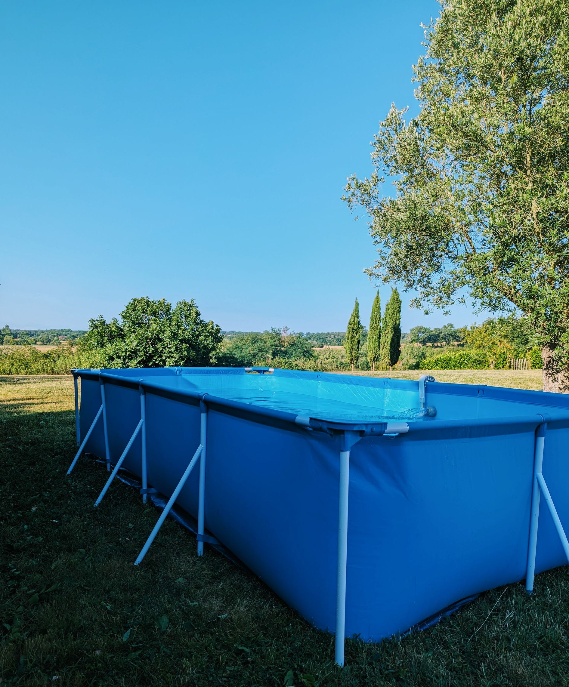 Blauer rechteckiger Aufstellpool auf grünem Gras, mit einem klaren blauen Himmel und Bäumen im Hintergrund.