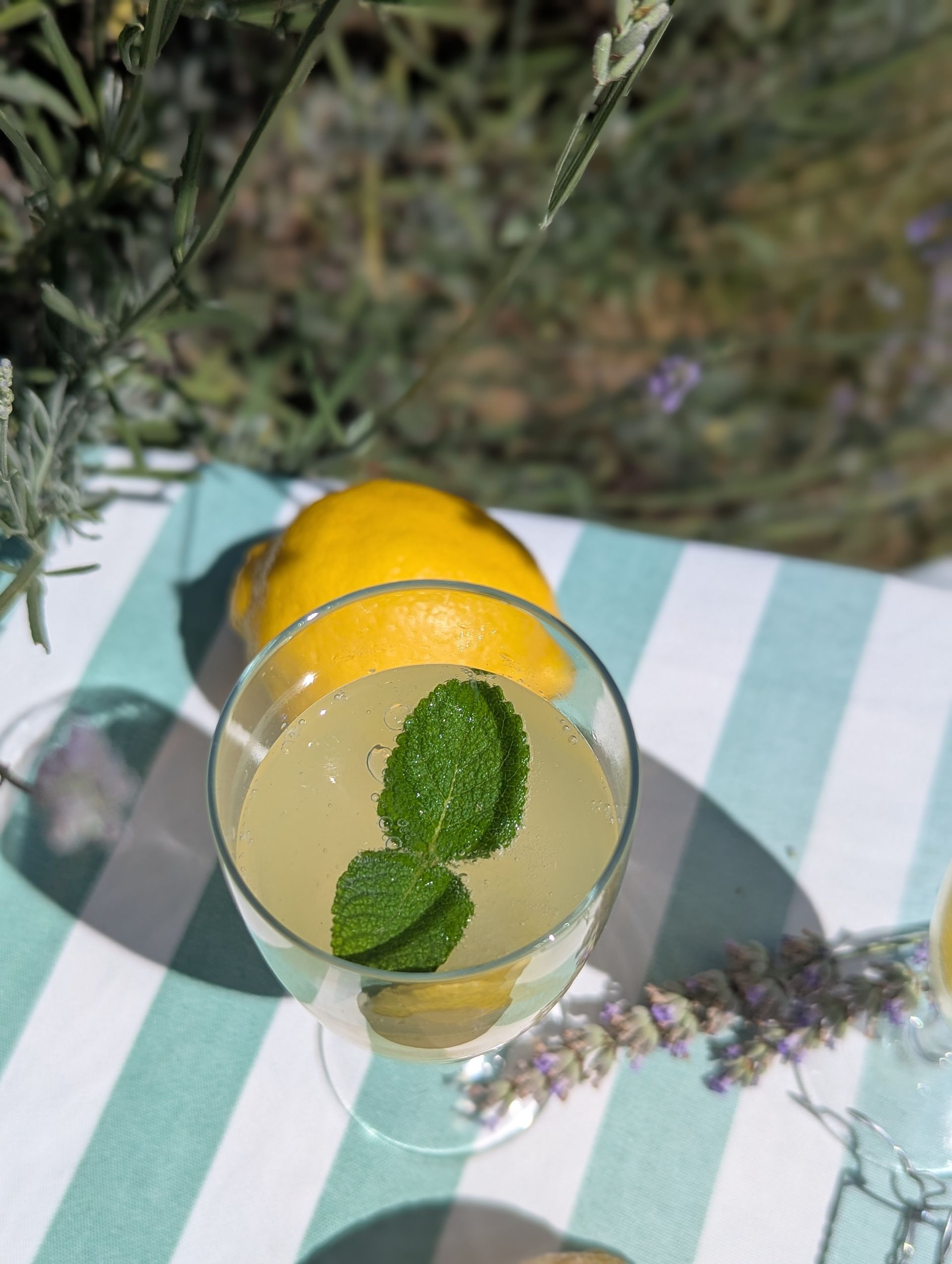 Eine grün-weiß gestreifte Tischdecke. Ein Glas Limonade mit Minzblättern und eine Zitrone.