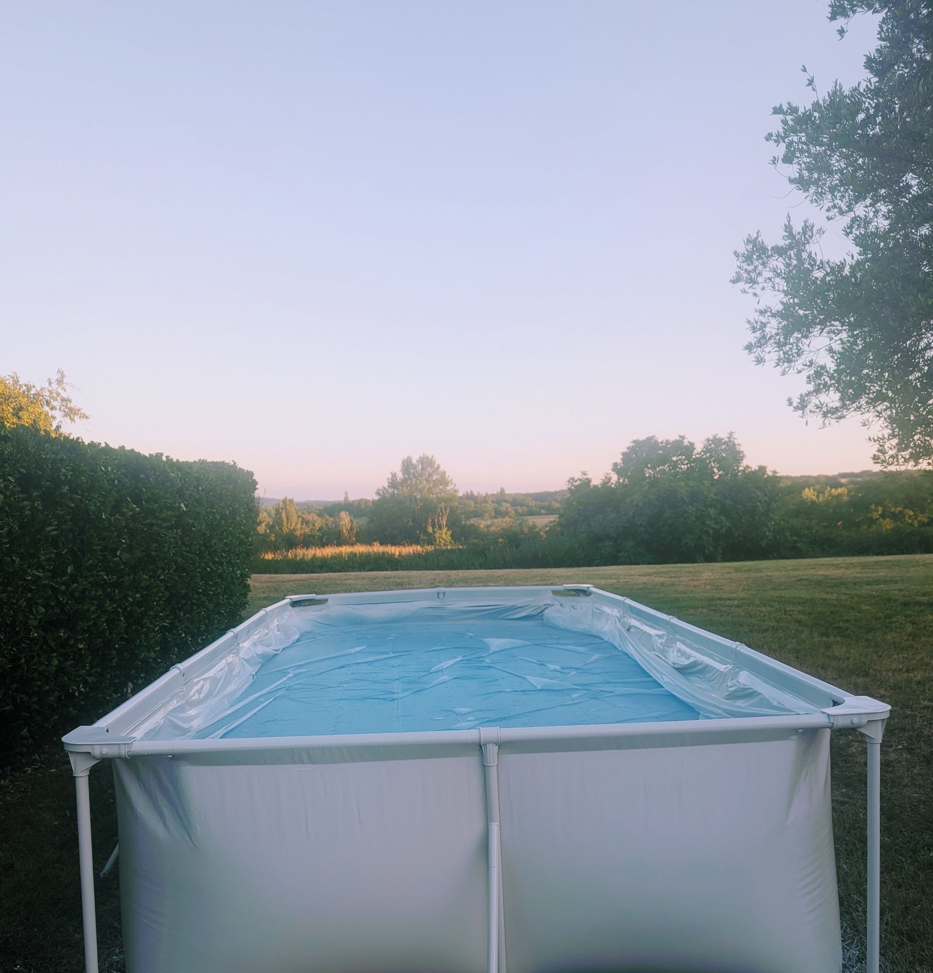 Rechteckiger Aufstellpool in einem grasbewachsenen Hof mit Blick auf Bäume und blauen Himmel.
