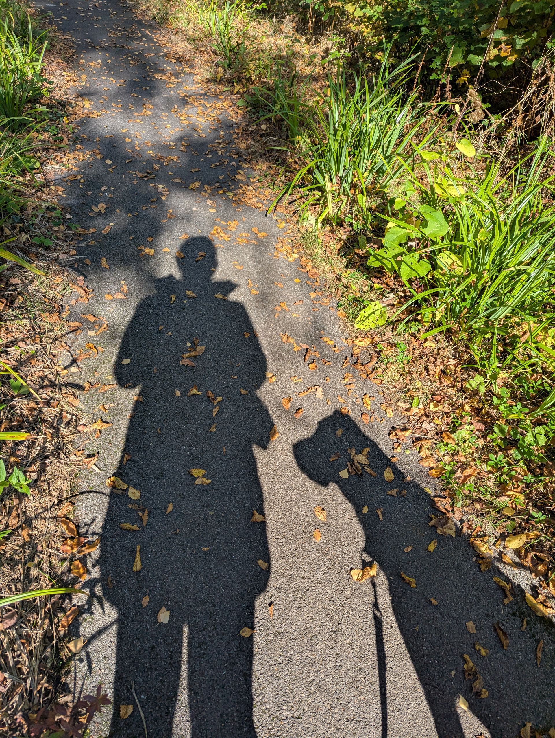 Schatten eines Menschen mit Hund