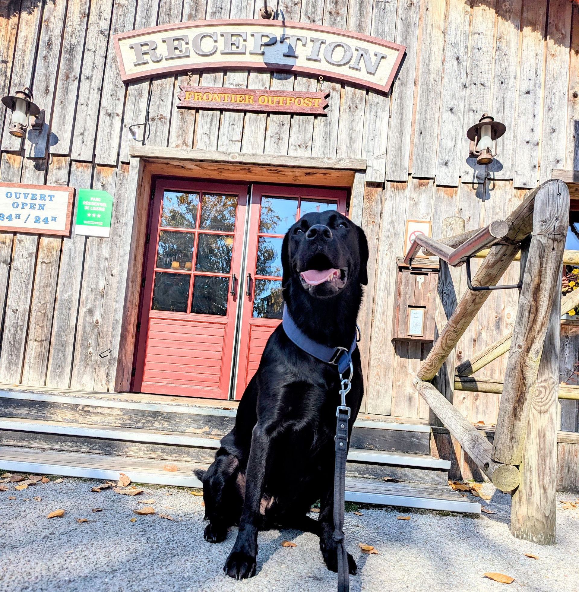 Schwarzer Labrador vor der Rezeption der Davy Crocket Ranch