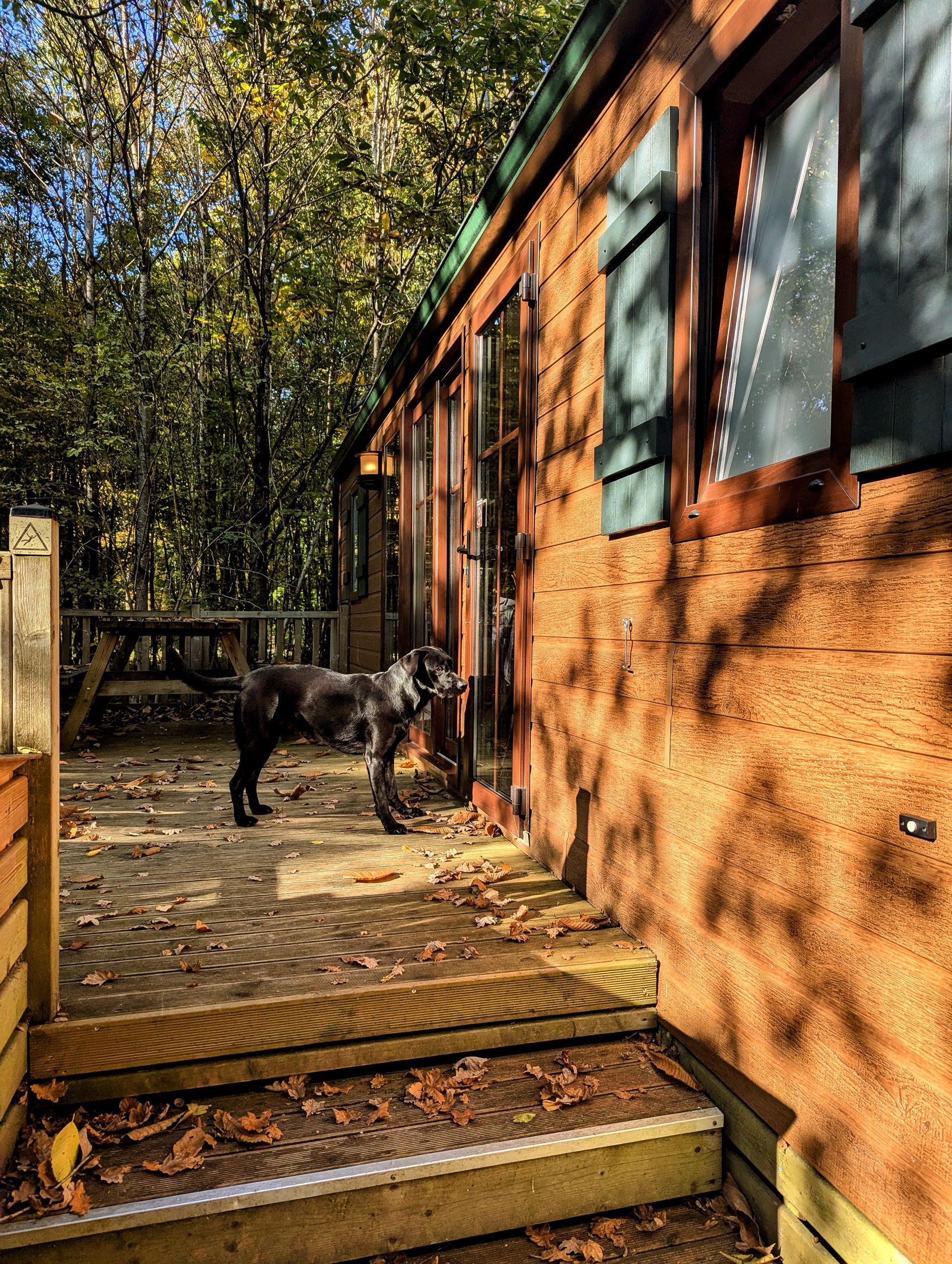 Blockhütte in der Davy Crocket Ranch