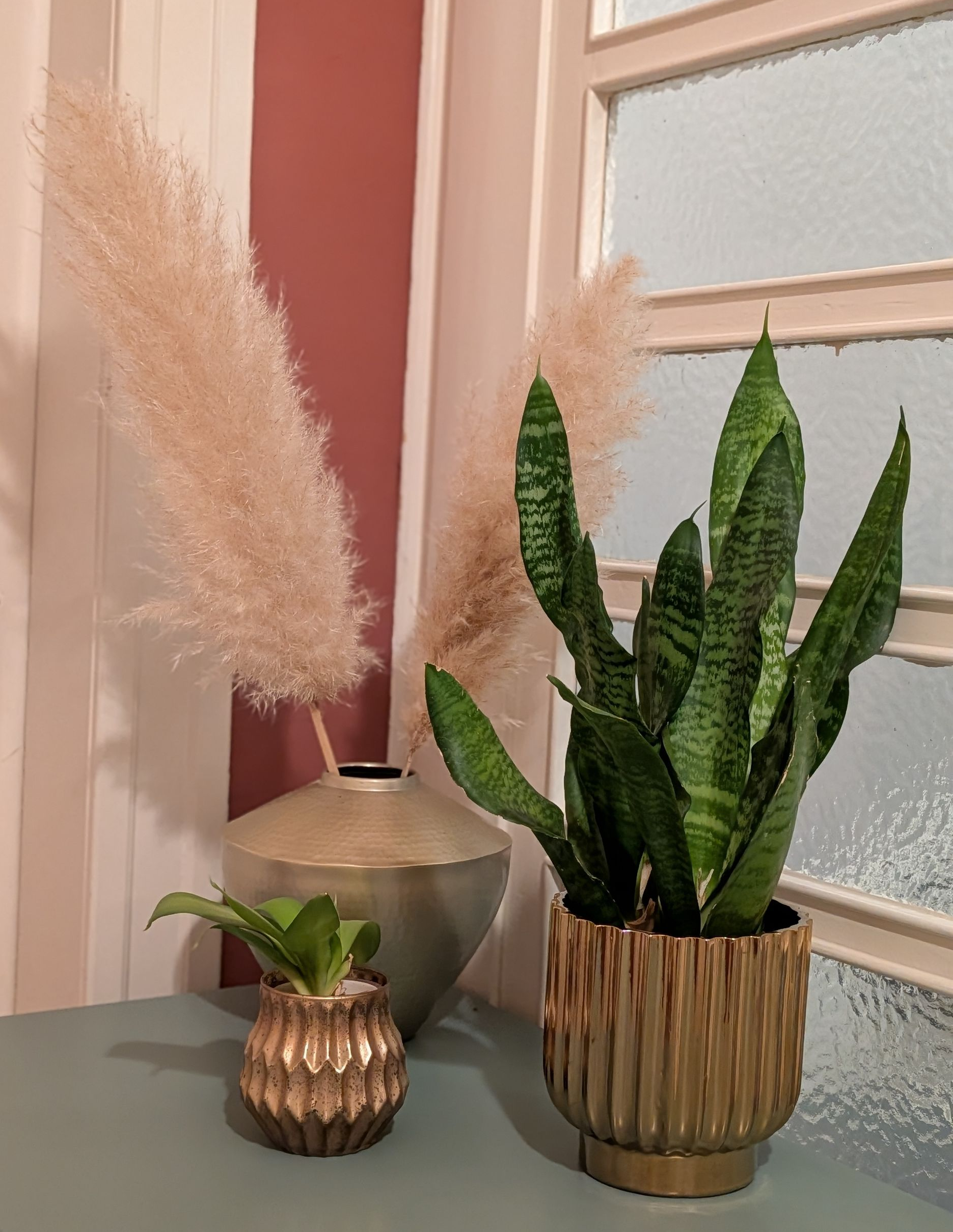 Dekoration, Pampasgras, goldene Deko