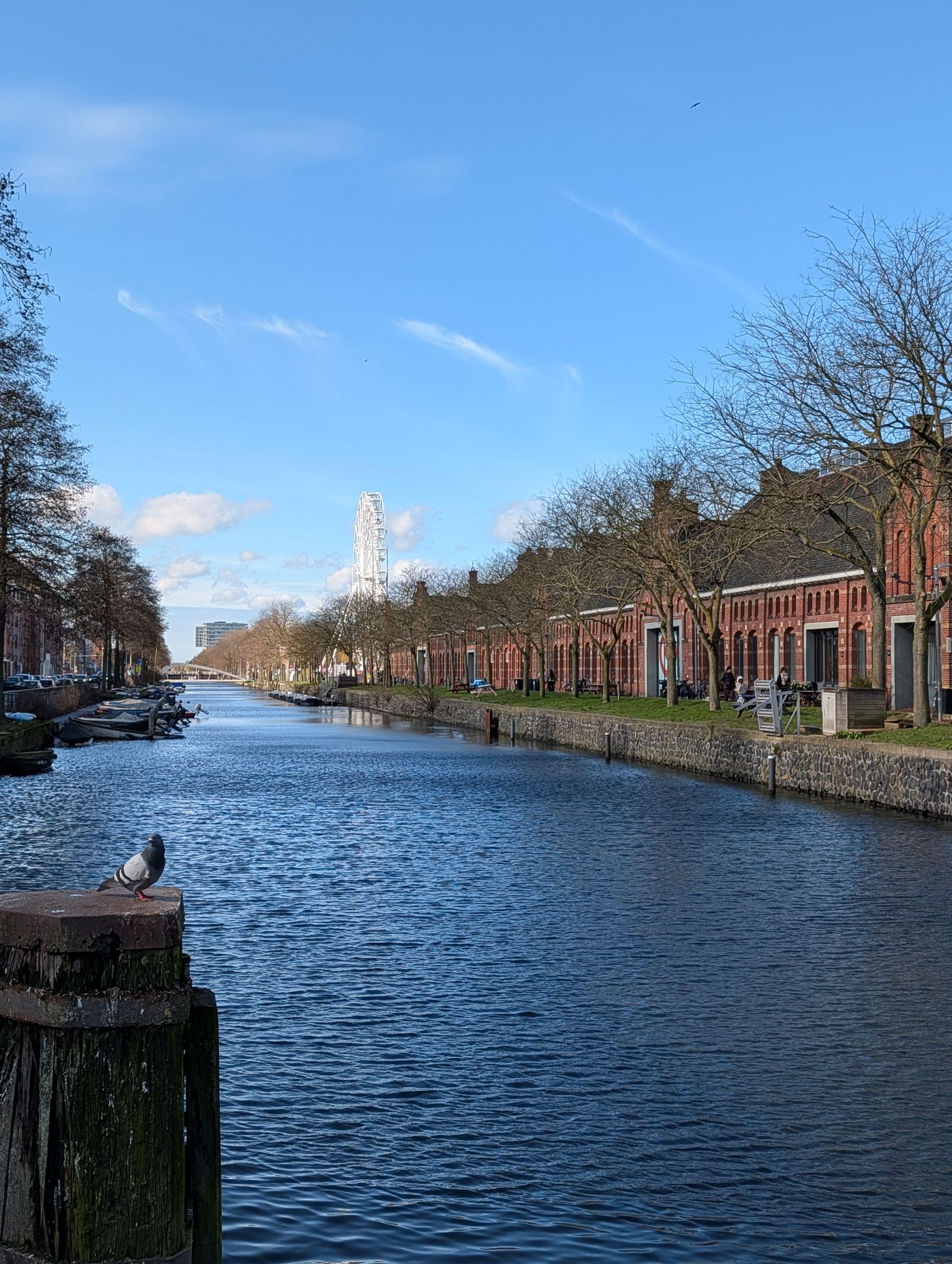 Eine Gracht am Westernpark in Amsterdam