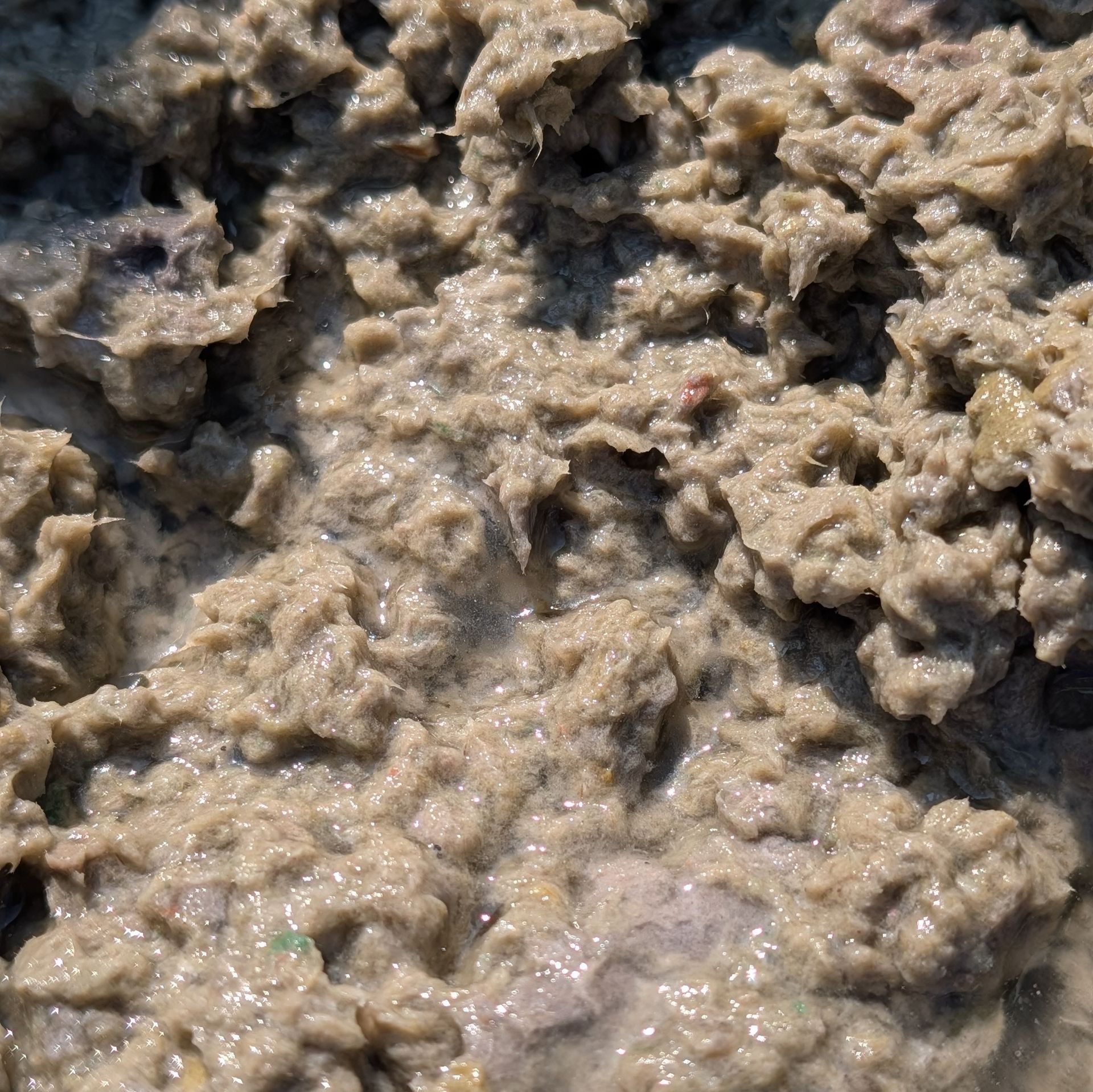 Eierkarton in Wasser eingeweicht und Pürriert.
