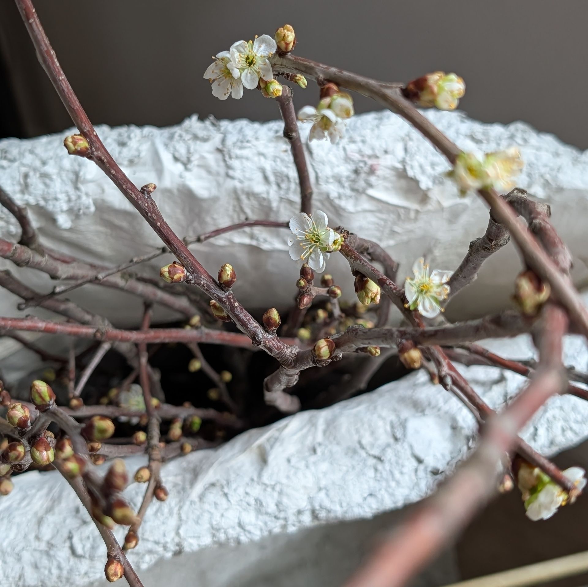 Draufsicht auf eine DIY Bodenvase mit Kirschblütenzweigen.