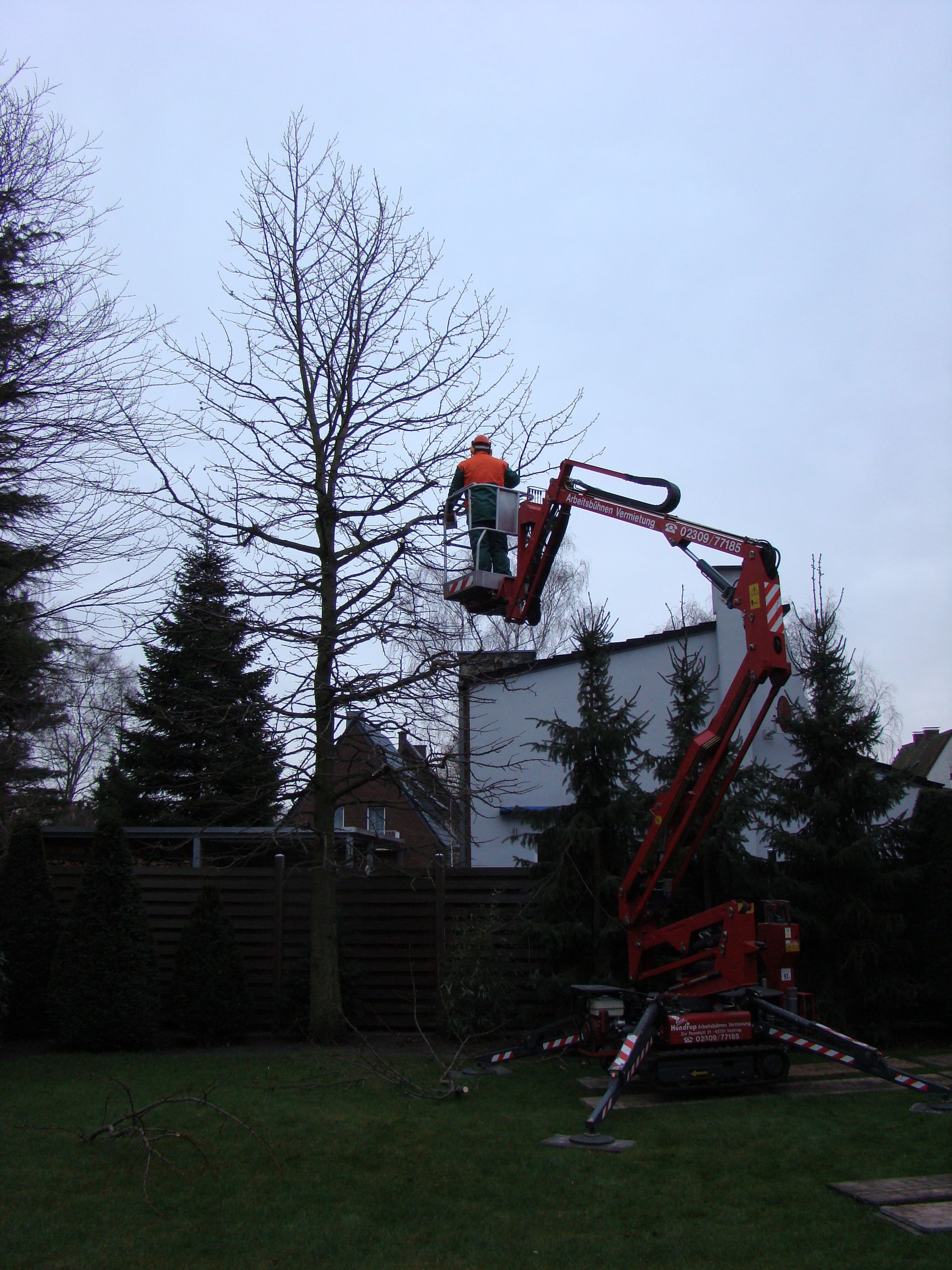 Ein Mann fällt mit einem Kran einen Baum