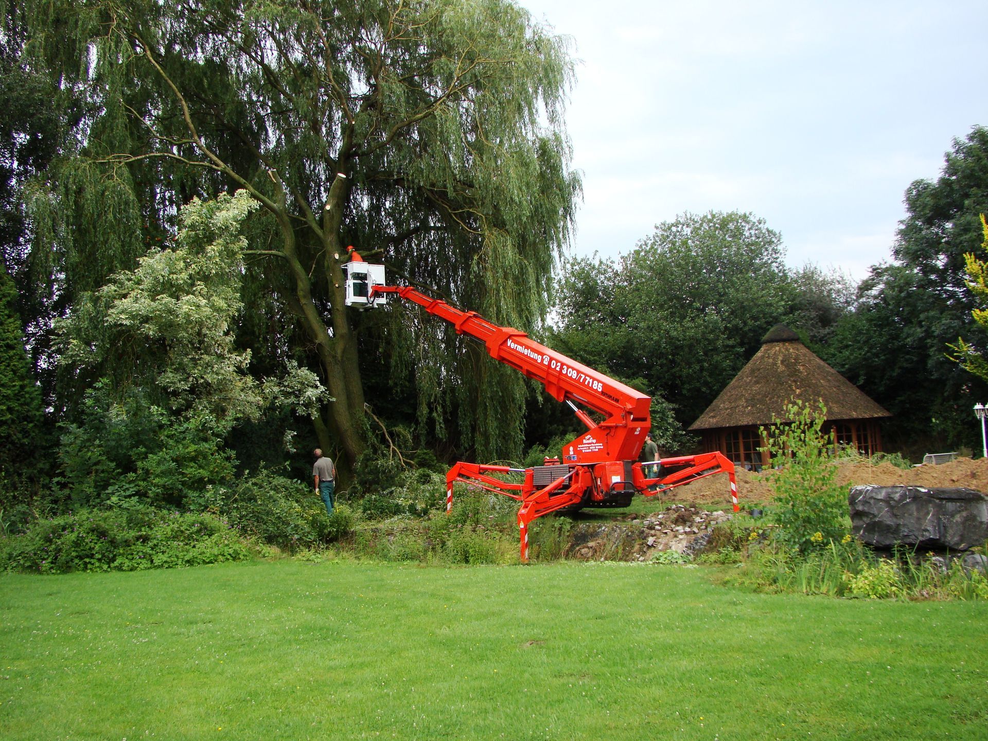 Ein roter Kran fällt in einem Park einen Baum