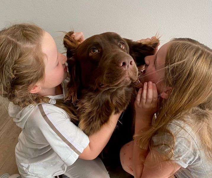 Zwei kleine Mädchen küssen einen braunen Hund .