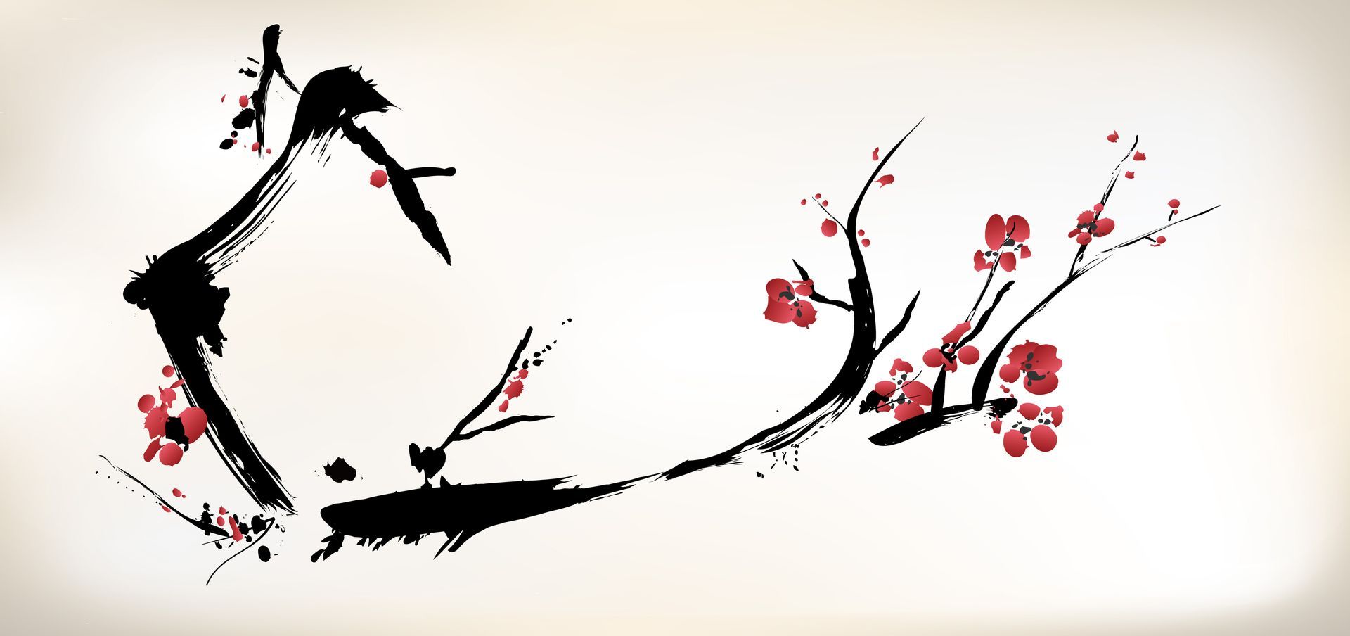 Nora Morenza - Thérapeute en acupuncture