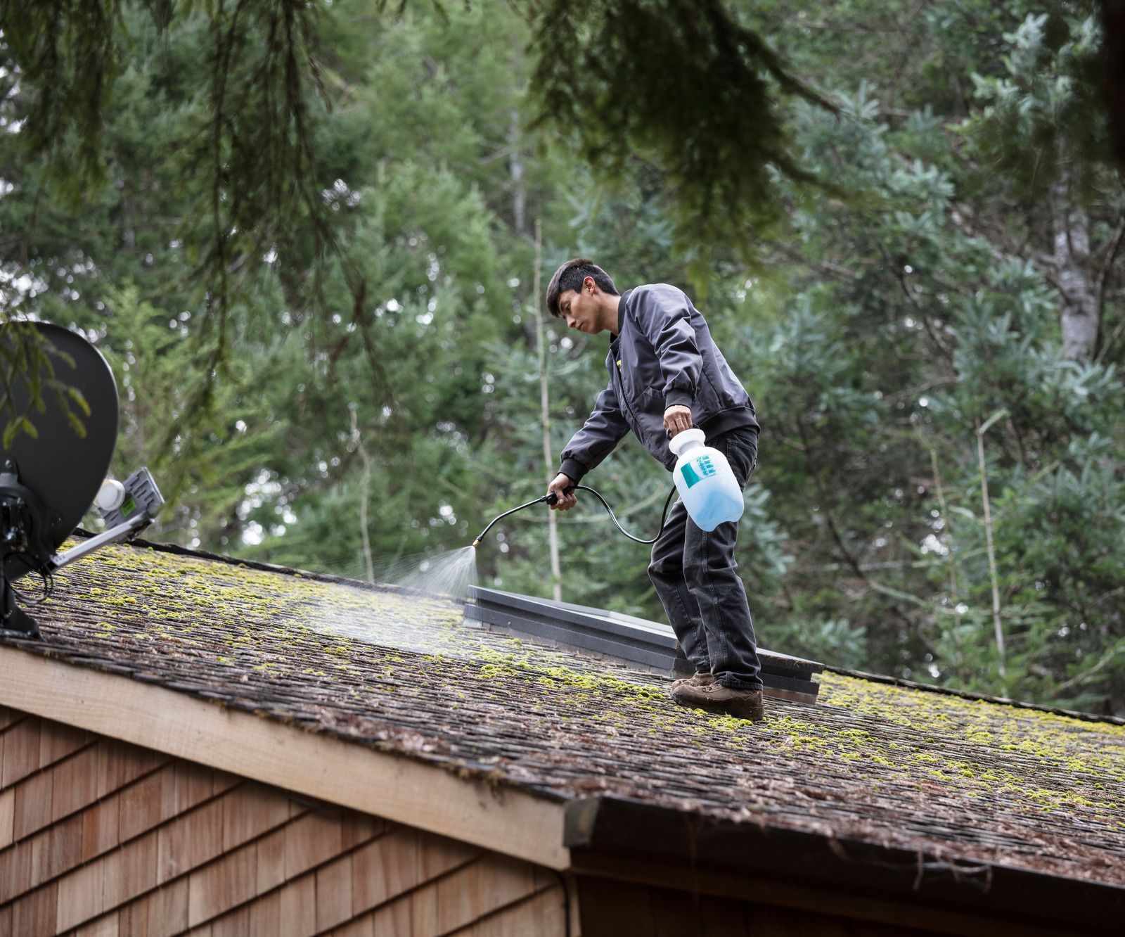 Person spraying water on a moss-covered roof in a wooded area