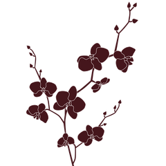 Eine Silhouette eines Zweiges mit Blüten und Knospen
