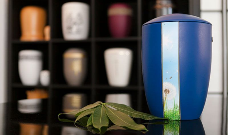 Eine blaue Urne mit einem Bild von einem Löwenzahn darauf