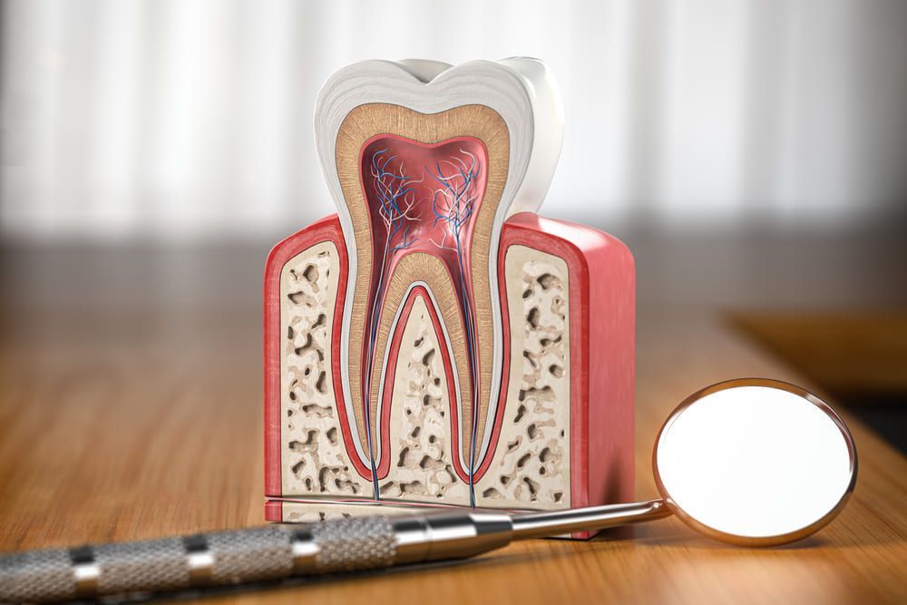 Ein Modell eines Zahns, eines Zahnspiegels und eines Schraubenschlüssels auf einem Holztisch | Zahnärzte am Westkreuz