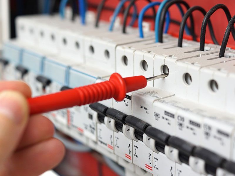 Carol Forster Elektrotechnik