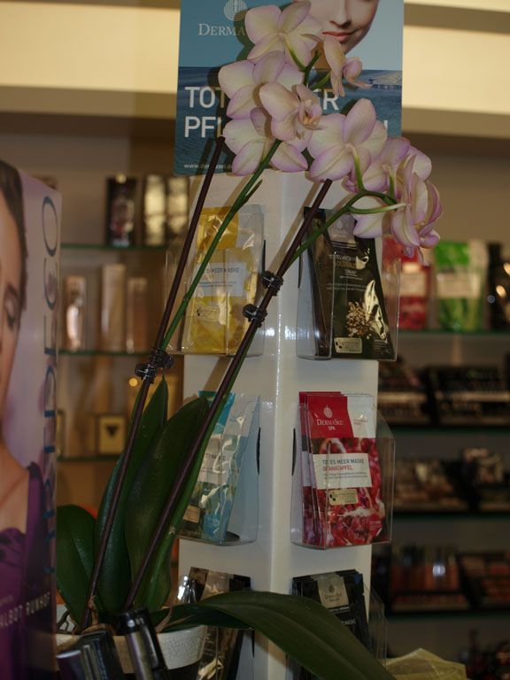 eidg. dipl. Apothekerin