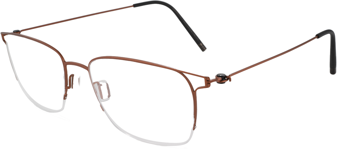 Paire de lunettes Evo 2, marque MINIMA