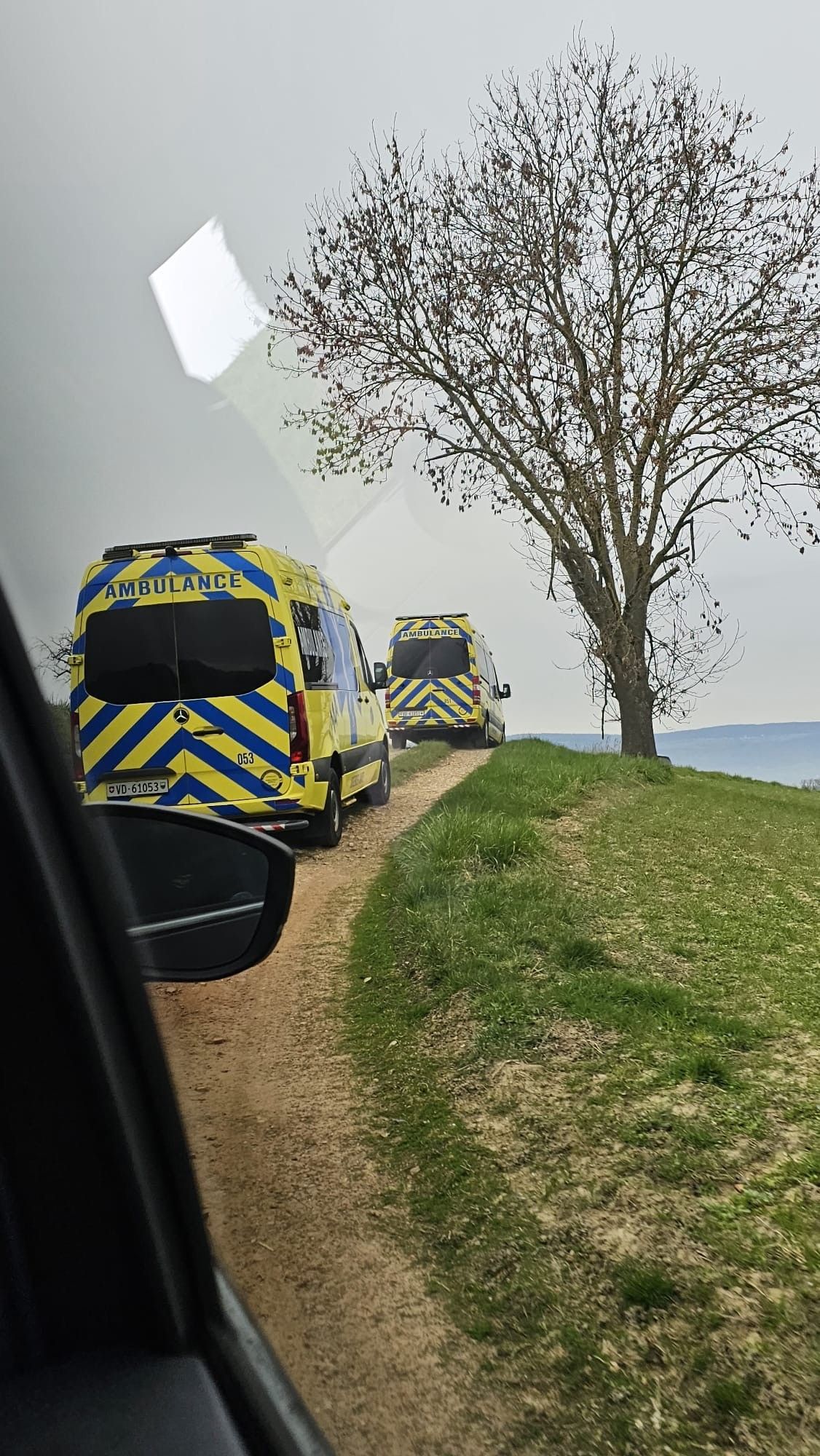 Une rangée de camionnettes jaunes et bleues est garée sur un chemin de terre à côté d'un arbre.
