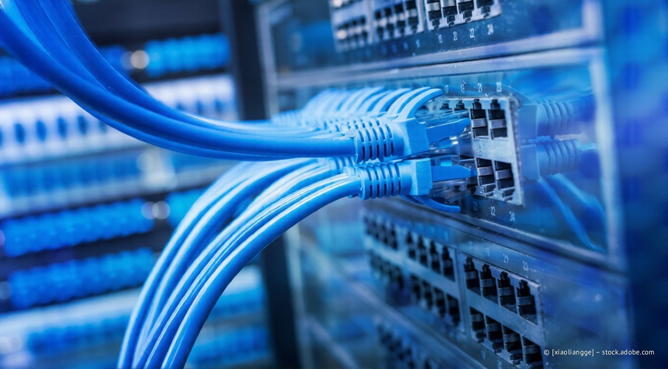 Blaue Netzwerkkabel sind an einen Server-Switch angeschlossen.