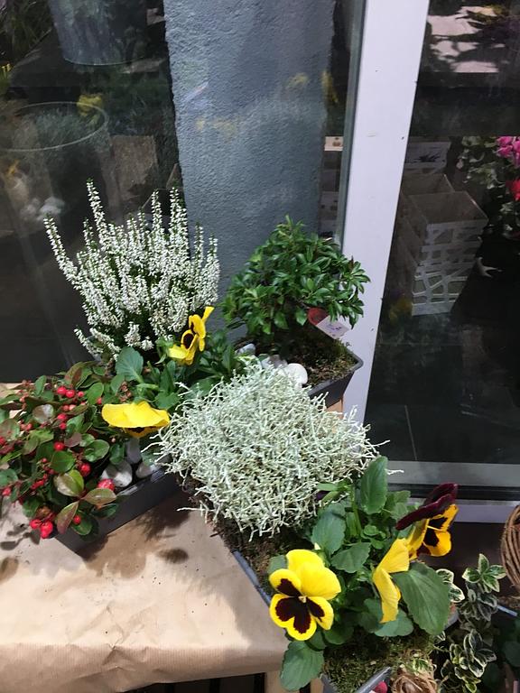 À partir de 230 €