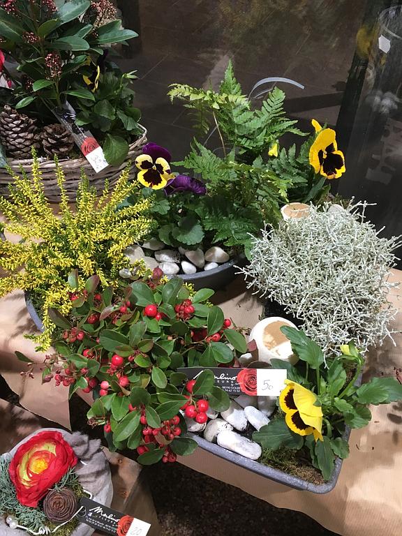 À partir de 200 €