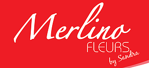 Logo Merlino Fleurs by Sandra Golbey, Épinal