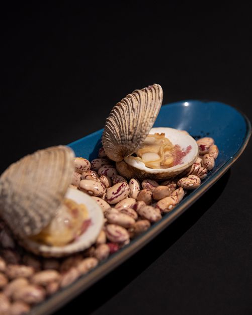 Un plato azul cubierto con conchas y frijoles sobre una mesa.