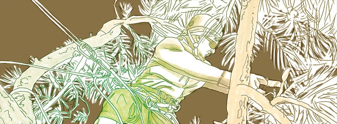 Un dessin d'un paysagiste grimpant à un arbre afin de pratiquer l'élagage