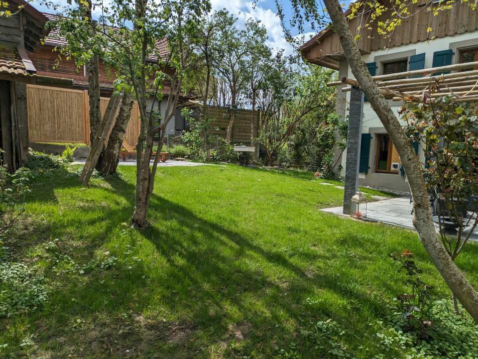 Pelouse verdoyante et luxuriante avec des arbres, reliant un hangar en bois et une maison aux fenêtres à volets.